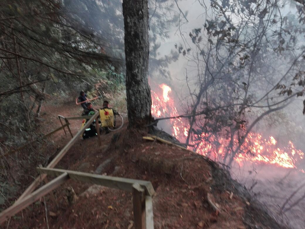 incendio almeida