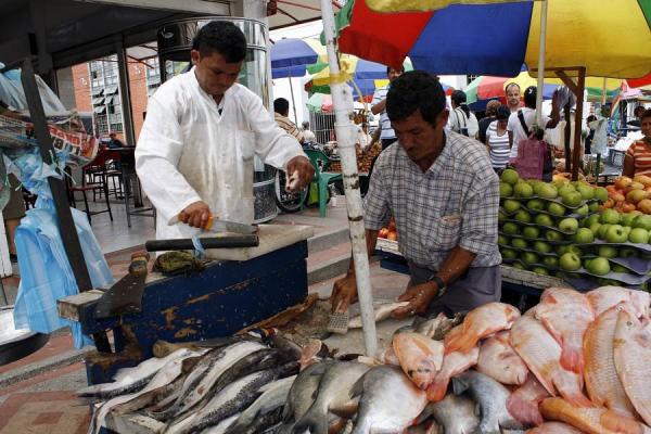 19flori02e002_big_ce