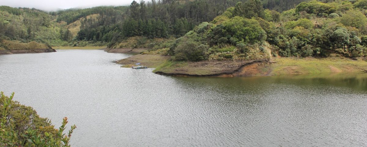 e54de9b6-2d36-452f-8a1c-cfc99ecb915c