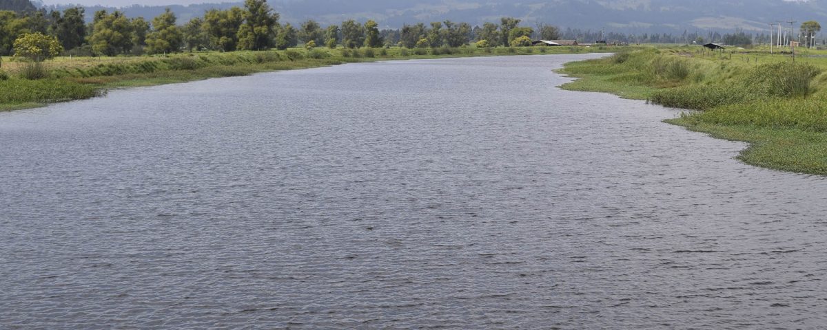 c82e68ecc91a6115905b52a4dab0ec5b_XL