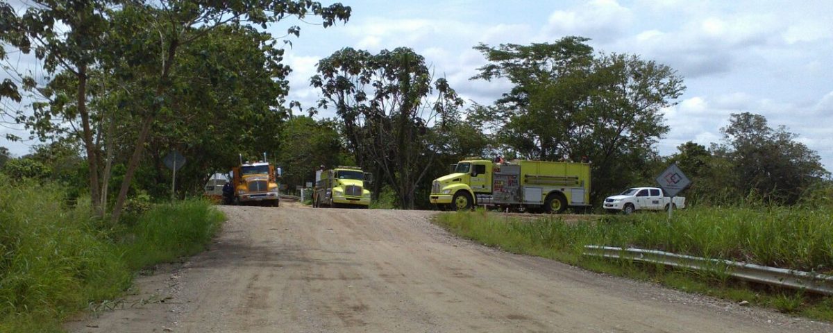 dd1e81b8-472f-4c2c-bf1c-d44a2636a706